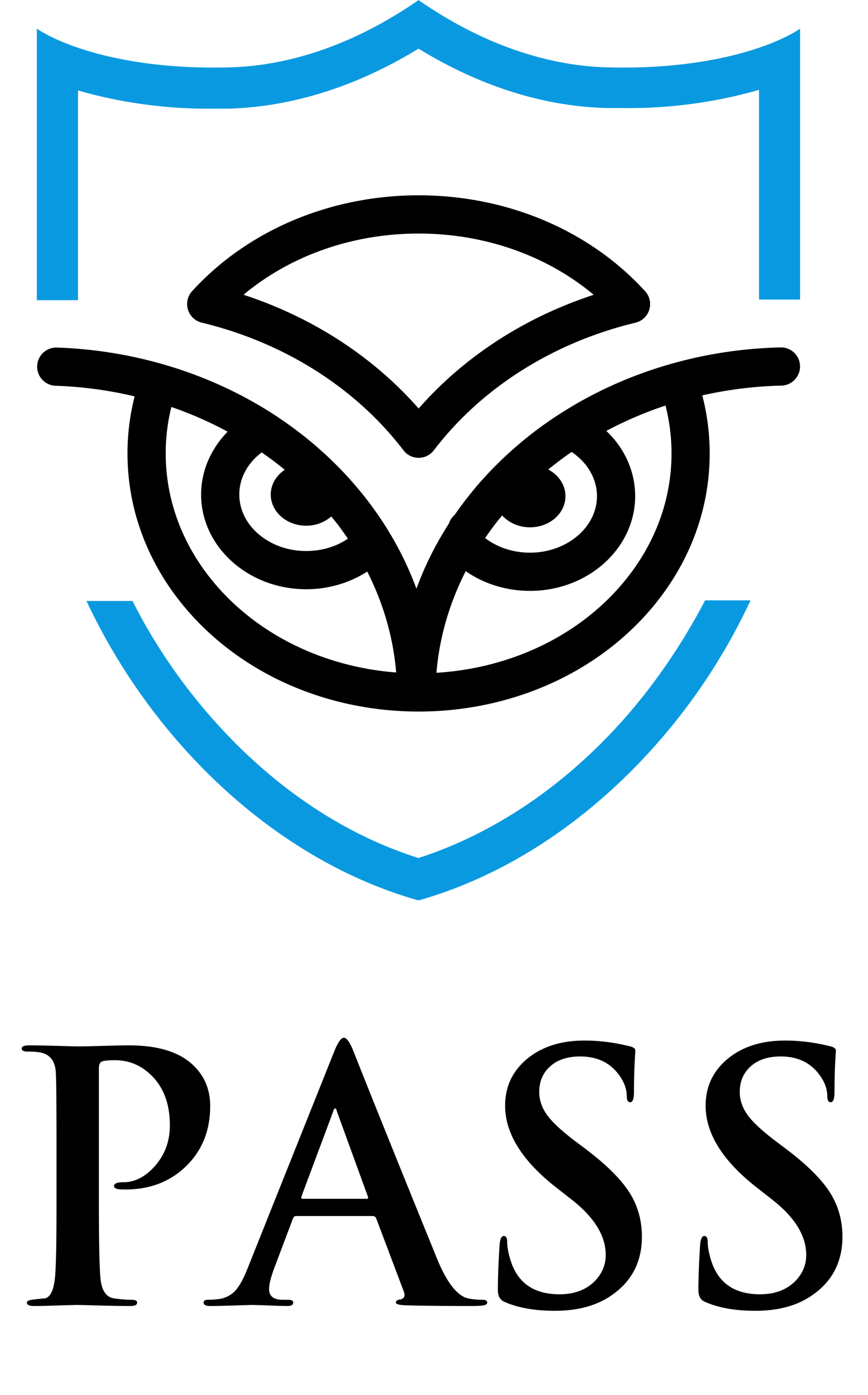 Pro Advance Security Services logo